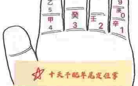 生辰八字查询免费算命起名（生辰八字查询免费算命打分）