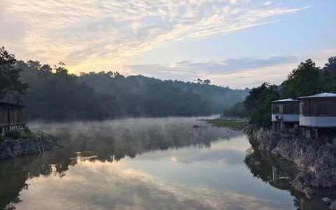 梦见大鱼在水里游我用石头砸（梦见大鱼在水里游是什么意思周公解梦）